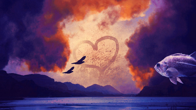 Heart fish bird lake cloud free wallpaper - medium preview image