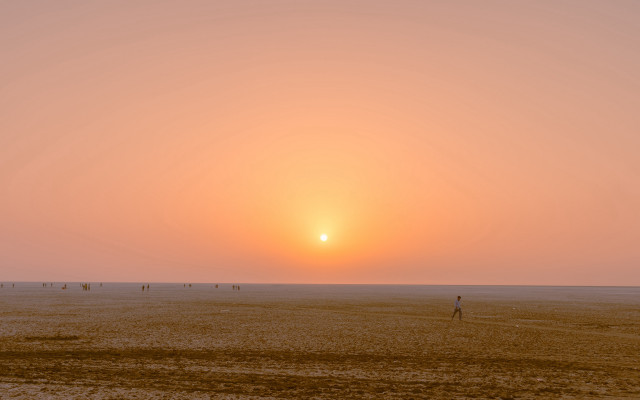 Beach kite sunset group ocean free wallpaper - medium preview image