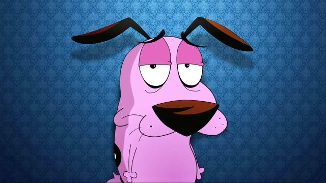Pink dog nose ring blue free wallpaper - medium preview image