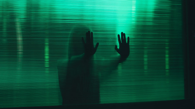 Hands window green blinds elfsa free wallpaper - medium preview image