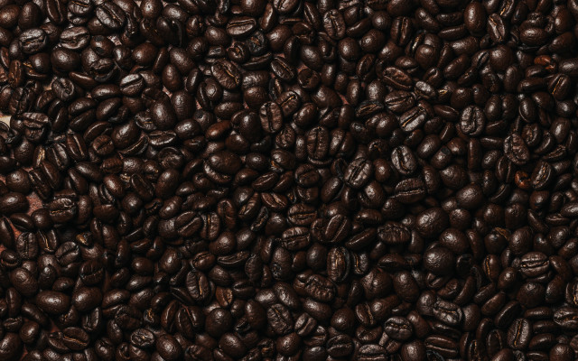 Coffee beans white brown borders free wallpaper - medium preview image