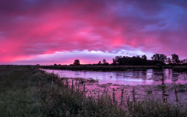 Pink sky river trees birds free wallpaper - medium preview image