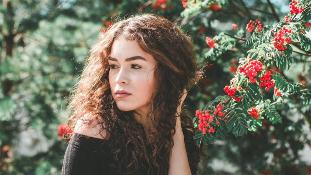 Woman bush redberries antlers christmas free wallpaper - medium preview image