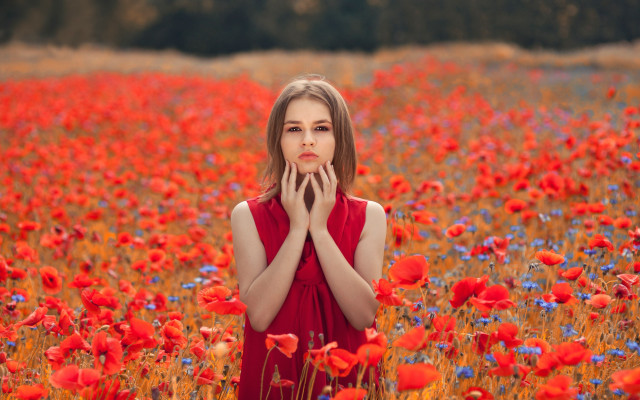 Woman red flower field autumn #2 free wallpaper - medium preview image