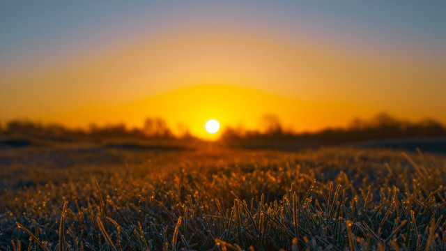 Sunset field trees yellow sun free wallpaper - medium preview image
