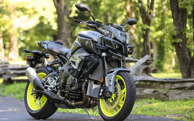 Motorcycle forest road fence bush free wallpaper - medium preview image