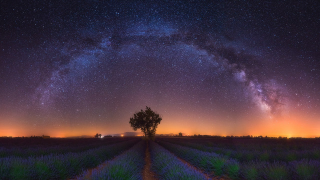 Lone tree night sky purple free wallpaper - medium preview image