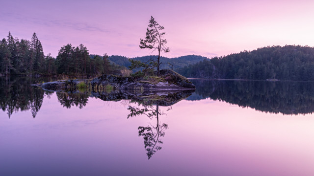 Lake tree mountain purple sky free wallpaper - medium preview image
