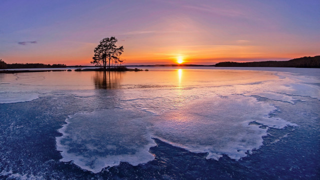 Sunset frozen lake lone tree free wallpaper - medium preview image