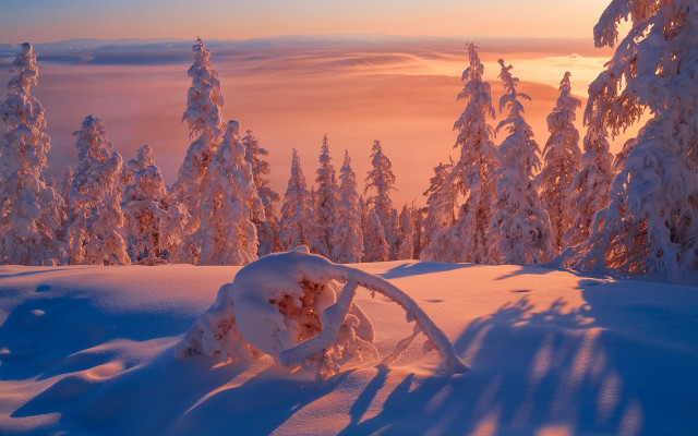 Snowy mountain trees pink sky free wallpaper - medium preview image