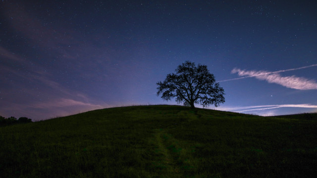 Lone tree hill night starry free wallpaper - medium preview image