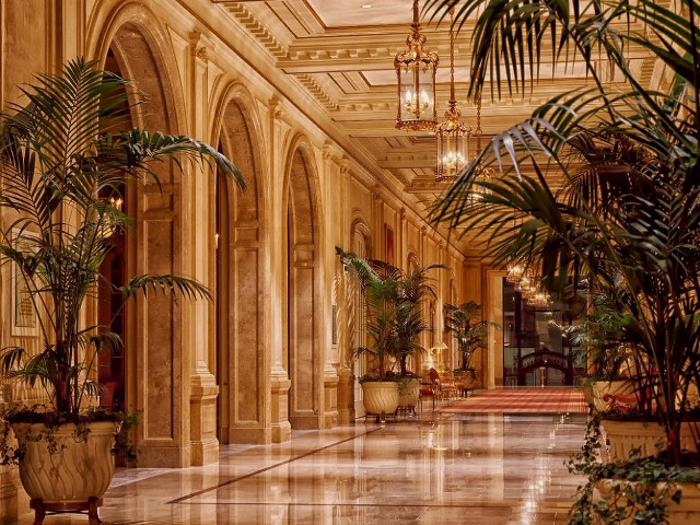 Large hallway chandelier plants ceiling free wallpaper - medium preview image