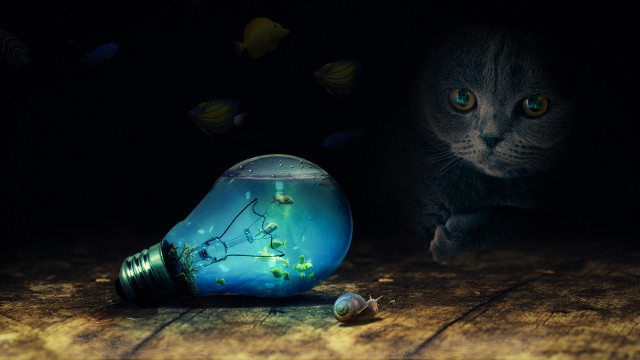 Cat lightbulb tree fish surreal free wallpaper - medium preview image