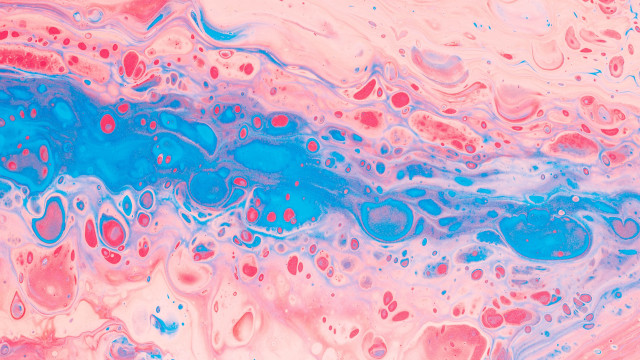 Blue pink red abstract bubble free wallpaper - medium preview image