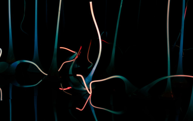 Black background red blue light free wallpaper - medium preview image