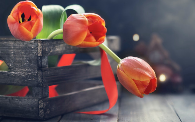Wooden crate flower basket red free wallpaper - medium preview image