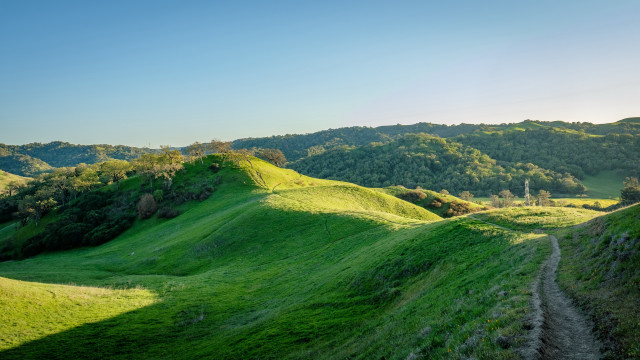 Grassy hill dirt path forest free wallpaper - medium preview image
