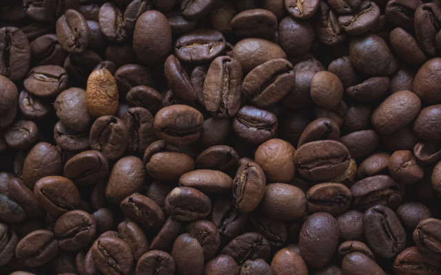 Coffee beans brown pod photorealism free wallpaper - medium preview image