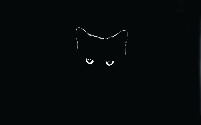 Black cat white eye crescent free wallpaper - medium preview image