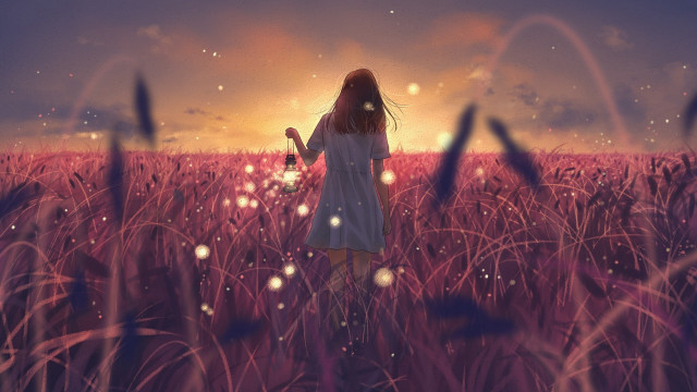 Girl field sunset flower fireflies free wallpaper - medium preview image