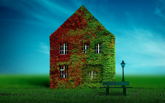Green bench ivy building streetlight free wallpaper - medium preview image