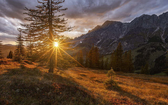 Sunbeam mountain range trees grass free wallpaper - medium preview image