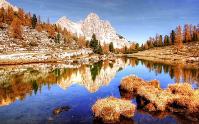 Mountain lake autumn forest city free wallpaper - medium preview image