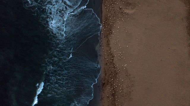 Beach wave person surfboard night free wallpaper - medium preview image