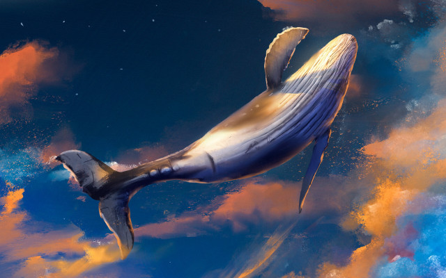 Whale floating sky clouds star free wallpaper - medium preview image