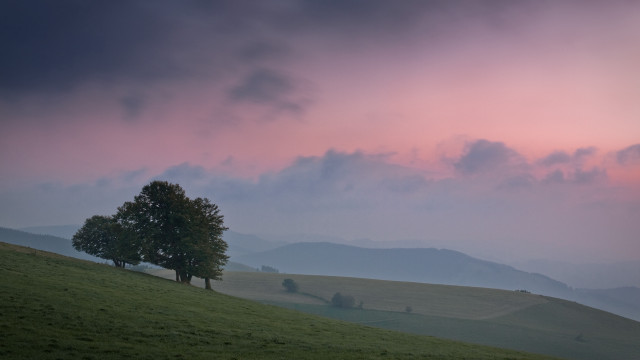 Lone tree grassy hill cloudy #3 free wallpaper - medium preview image