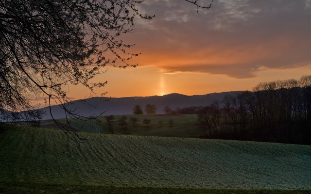 Sunset field tree mountains clouds free wallpaper - medium preview image