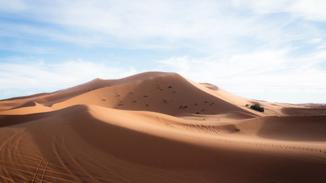Desert sand dune trees clouds free wallpaper - medium preview image