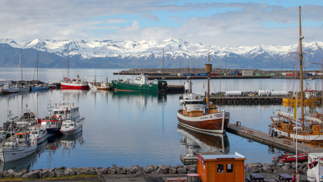 Harbor boats mountains snow panorama free wallpaper - medium preview image