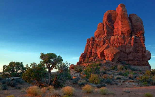 Desert rock formation trees bushes free wallpaper - medium preview image