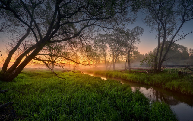 River forest sunset fog autumn free wallpaper - medium preview image