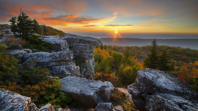 Sunset rocky mountain trees foreground free wallpaper - medium preview image