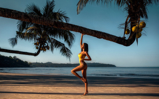 Woman beach palm sunset fireworks free wallpaper - medium preview image