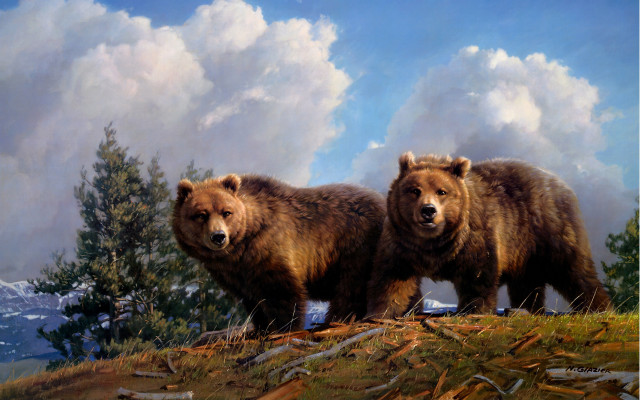 Bears hill cloudy sky trees free wallpaper - medium preview image