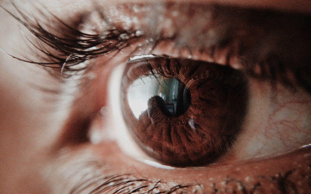 Eye reflection macro closeup shallow free wallpaper - medium preview image