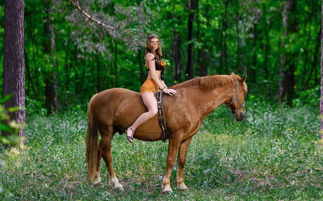 Woman horse forest nature sunlight free wallpaper - medium preview image