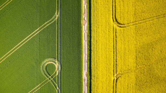 Heart field tractor land art free wallpaper - medium preview image