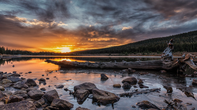 Sunset lake fallen tree mountains free wallpaper - medium preview image
