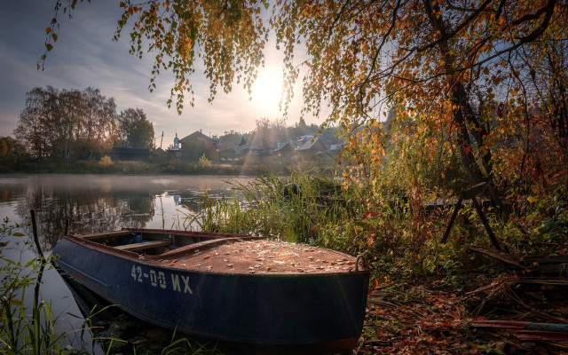 Boat shore lake tree autumn free wallpaper - medium preview image