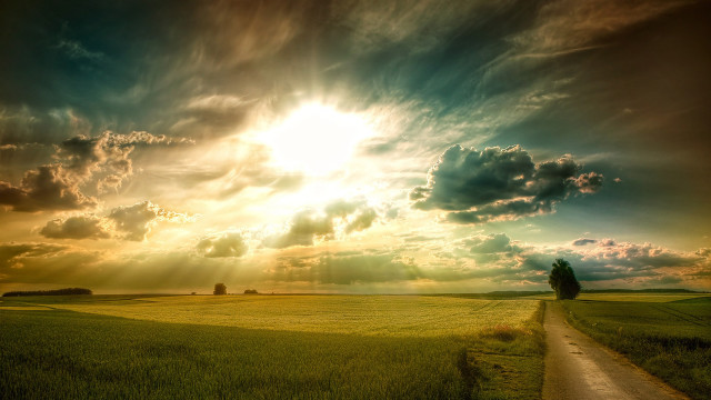 Dirt road field tree sunbeam free wallpaper - medium preview image