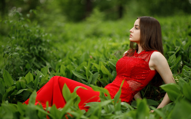 Red dress sitting in field free wallpaper - medium preview image