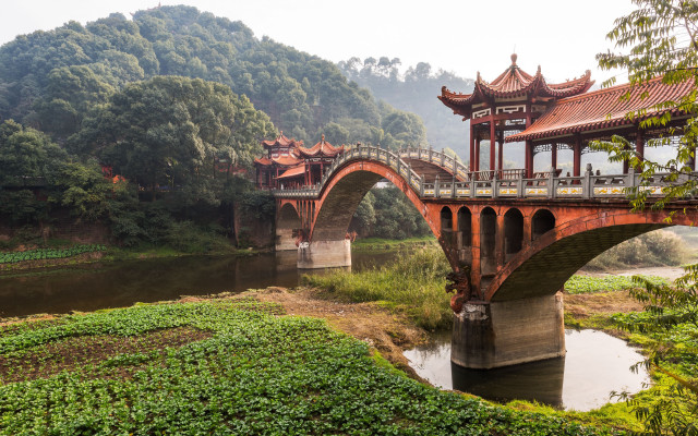 Bridge building forest city pagoda free wallpaper - medium preview image