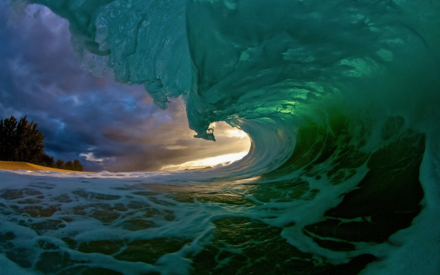 Large wave sunset ocean tree free wallpaper - medium preview image