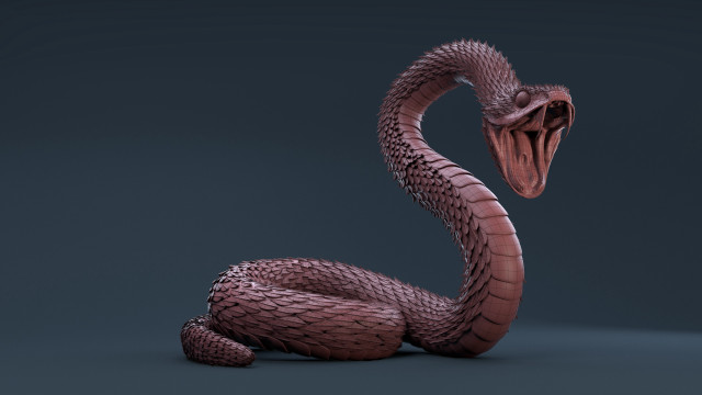 Cobra open mouth shadows scales free wallpaper - medium preview image