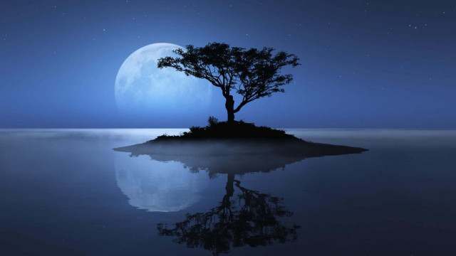 Moonlit tree island ocean night free wallpaper - medium preview image