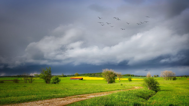 Field barn birds cloudy stormy free wallpaper - medium preview image